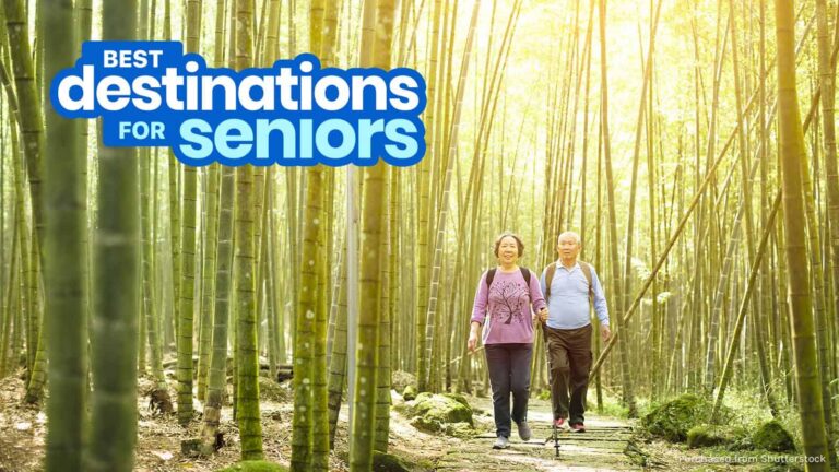Best Multi-Generational Travel for Seniors: A Strategic Logistics Guide