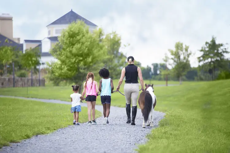 Best Family Resorts United States: The Definitive Planning Guide